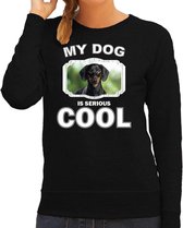 Coole teckel honden trui / sweater my dog is serious cool zwart - dames - Cool teckels liefhebber cadeau sweaters XS