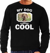 Weimaraner  honden trui / sweater my dog is serious cool zwart - heren - Weimaraners liefhebber cadeau sweaters M