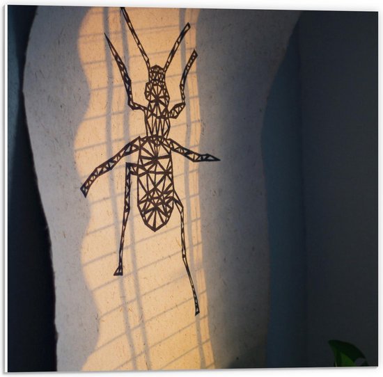 Forex - Lijnen van Insect op de muur - 50x50cm Foto op Forex