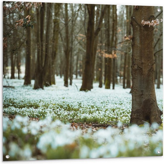 Tuinposter – Wit Bloemenveld met Bomen - 100x100cm Foto op Tuinposter  (wanddecoratie voor buiten en binnen)