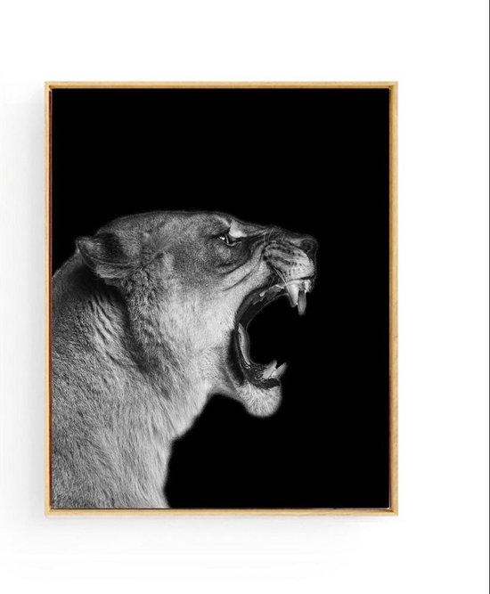 Poster Safari Leeuwin Brul - zwart / wit - 80x60cm - Safari Jungle Dieren - Muurdecoratie