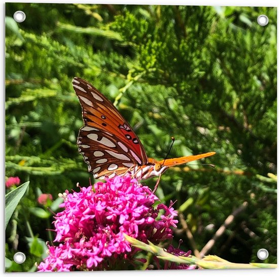 Tuinposter – Roodkleurige Vlinder op Bloem tussen Groene Takken - 50x50cm Foto op Tuinposter  (wanddecoratie voor buiten en binnen)