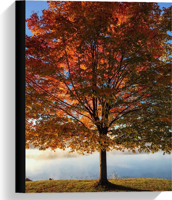 Canvas - Grote Herfstboom aan het Water - Foto op Canvas Schilderij (Wanddecoratie op Canvas)