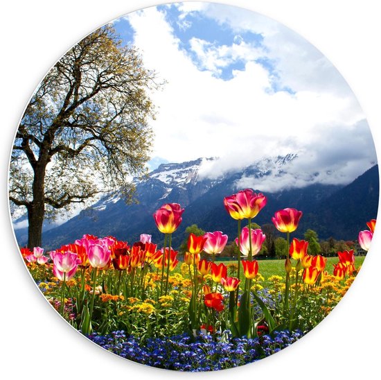 Forex Wandcirkel - Magisch Tulpenveld bij Grote Boom en Bergen - 60x60cm Foto op Wandcirkel (met ophangsysteem)