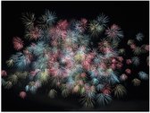 Poster – Grote Vuurwerkshow - 40x30cm Foto op Posterpapier