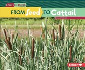 Start to Finish, Second Series - From Seed to Cattail