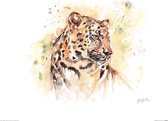 Poster - Luipaard Jennifer Rose - 40 X 50 Cm - Multicolor
