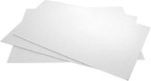 Achterkarton Dubbeldik 27.9x35.6cm Bainbridge (25 stuks)