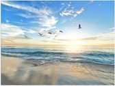 Poster – Blauwe Zee met Zon en Vogels - 40x30cm Foto op Posterpapier