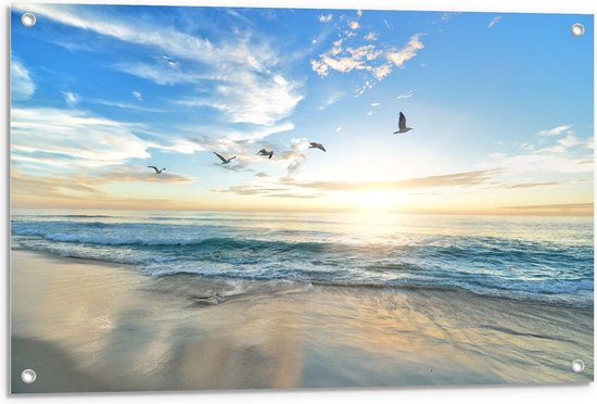 Tuinposter – Blauwe Zee met Zon en Vogels - 90x60cm Foto op Tuinposter  (wanddecoratie voor buiten en binnen)