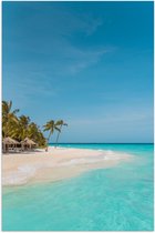 Ga naar het circuit Snel retort Poster – Tropisch Wit Strand met Blauwe Zee en Palmbomen - 60x90cm Foto op  Posterpapier | bol.com