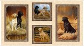 Quilting Treasures Quiltstof Panel Katoen Loyal Lovable Labs Honden Labradors 27285