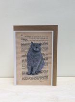 B-creativ - wenskaart Britse korthaar - katten illustratie - blanco - dubbelgevouwen - incl envelop - A6 formaat