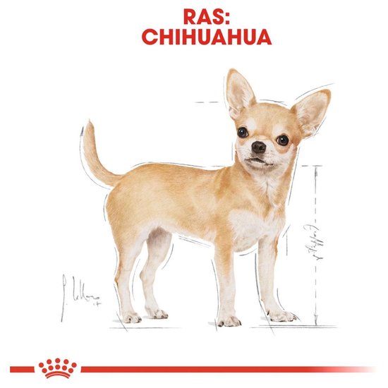 Royal Canin Chihuahua - Adult - Natvoer Hond - Pouch 12 x 85 g - Royal Canin