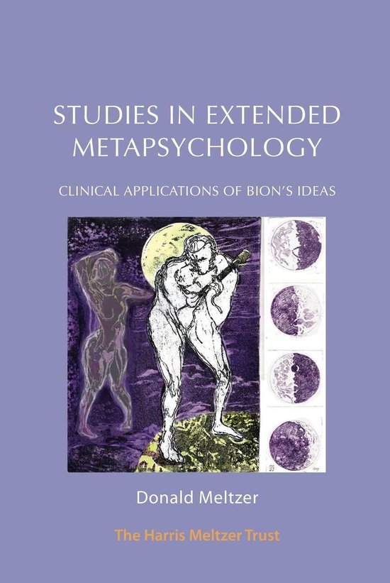 Studies in Extended Metapsychology - cover