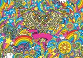 Colorful Owls Stars Rainbow Flowers Photo Wallcovering