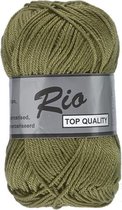 Lammy yarns Rio katoen garen - midden mos groen (380) - naald 3 a 3,5mm - 5 bollen