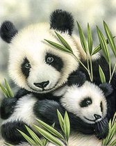 Diamond painting - Twee panda's - 40x30cm