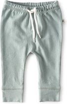 Little Label - baby - broekje - lichtgroen - maat 80 - bio-katoen