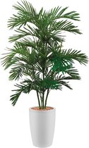 HTT - Kunstplant Areca palm in Genesis rond wit H170 cm