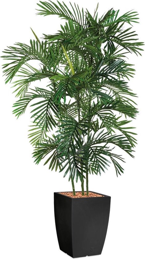 HTT - Kunstplant Areca palm in Genesis vierkant antraciet H200 cm