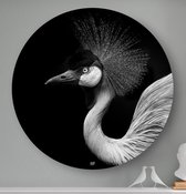 HIP ORGNL Schilderij Crown Bird - Kraanvogel - ⌀100cm - Wandcirkel dieren - Zwart wit