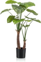 Kunstplant Alocasia 110 cm