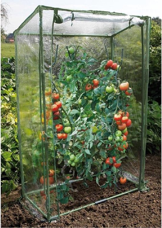veronderstellen Isoleren Edele Tomaten tuinkas met dubbele ritssluiting 150 cm - Tuinier/moestuin  artikelen... | bol.com