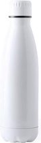 Bidon Roestvrij staal (700 Ml) 146164
