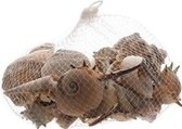 Decoratie/hobby bruine schelpen 350 gram - Echte schelpjes - Maritiem/zee/strand thema