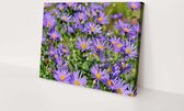 Paarse bloemen | 150 x 100 CM | Canvasdoek voor buiten | Schilderij | Outdoor | Tuindoek