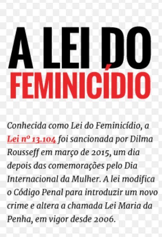 1 - A Lei do Feminicídio - cover