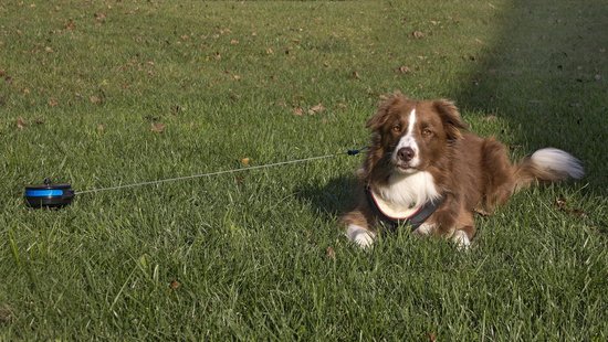 Petstages Intrekbare Oprollijn - Small – Voor Honden tot 15kg – 4,5mtr - Petstages