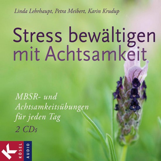 Stress bewältigen mit Achtsamkeit - cover