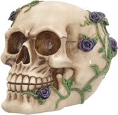 Nemesis Now Beeld/figuur Purple Rose from Beyond Schedel Multicolours