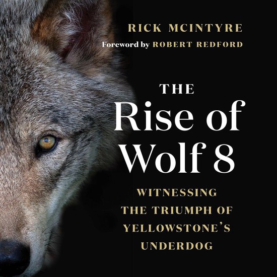 The Rise of Wolf 8 - cover