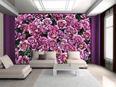 Blossomed Flowers Purple Photo Wallcovering