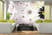 Dandelion Abstract Photo Wallcovering