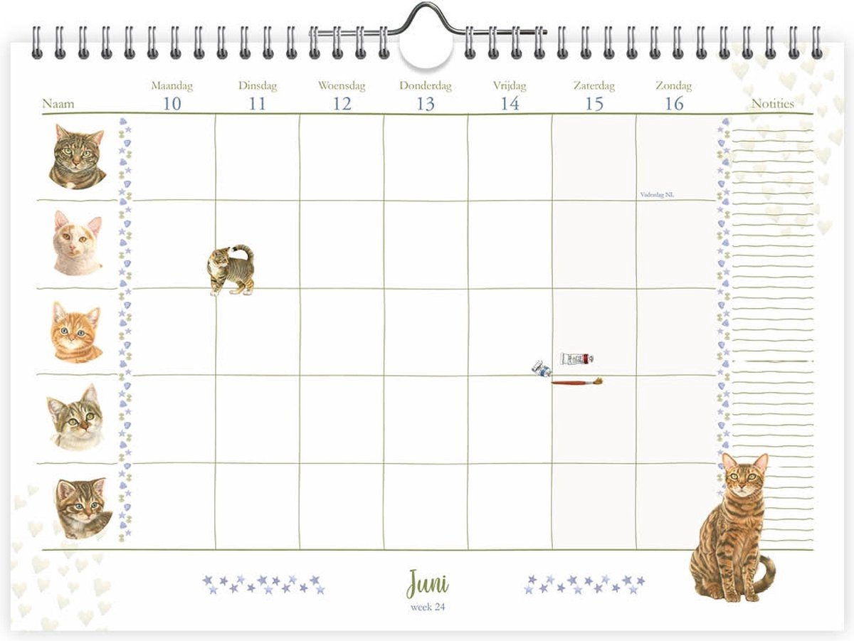 Franciens Katten Familie WEEKnotitiekalender 2024 | bol