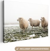 Trois moutons en hiver Toile 80x60 cm - Tirage photo sur toile (Décoration murale salon / chambre) / Peintures sur toile Animaux