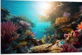 Dibond - Onderwater - Oceaan - Zee - Koraal - Vissen - Kleuren - Zon - 105x70 cm Foto op Aluminium (Met Ophangsysteem)