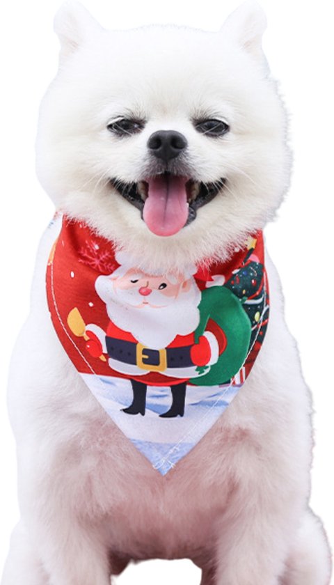 Huisdieren kerstkleding pakje voor honden