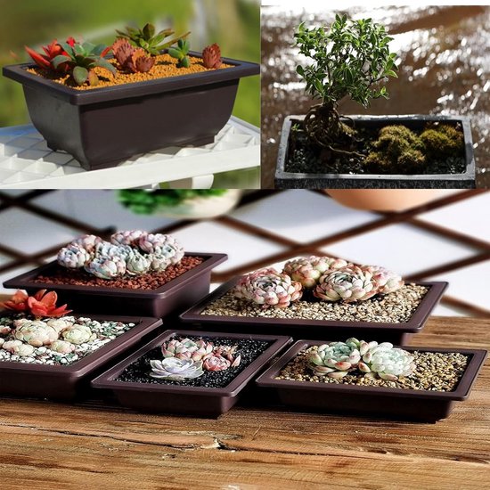 Graskop poppenplant, bloemkop, graskop, poppenplant, groeiende graskop, poppenplant, bloemkop, graskop, bonsai, mini-bonsai, graskop, haargroeispeelgoed met dienblad