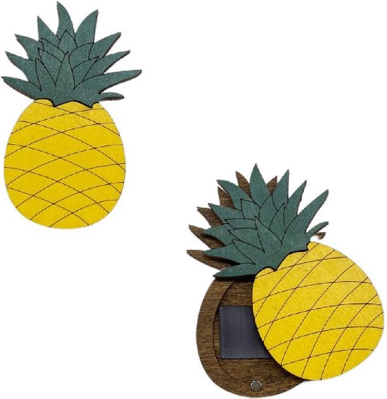 Foto: Naaldendoosje ananas