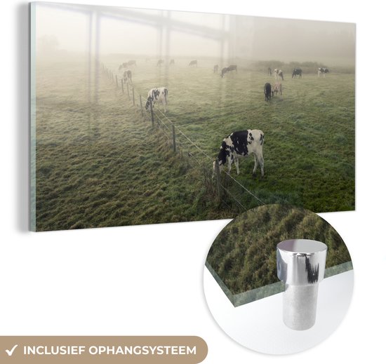 MuchoWow® Glasschilderij 80x40 cm - Schilderij acrylglas - Koeien - Mist - Friesland - Foto op glas - Schilderijen