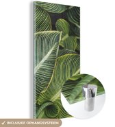 MuchoWow® Peinture sur Verre - Feuilles - Plante - Wit - 20x40 cm - Peintures sur Verre Acrylique - Photo sur Glas