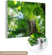 MuchoWow® Glasschilderij 40x30 cm - Schilderij acrylglas - Tropisch regenwoud - Foto op glas - Schilderijen