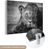 MuchoWow - Glasschilderij - Foto op glas - Wanddecoratie - Acrylglas - Wilde dieren - Leeuw - Natuur - Zwart - Wit - Woonkamer - 90x60 cm - Muurdecoratie dieren - Kamer decoratie - Schilderij glas