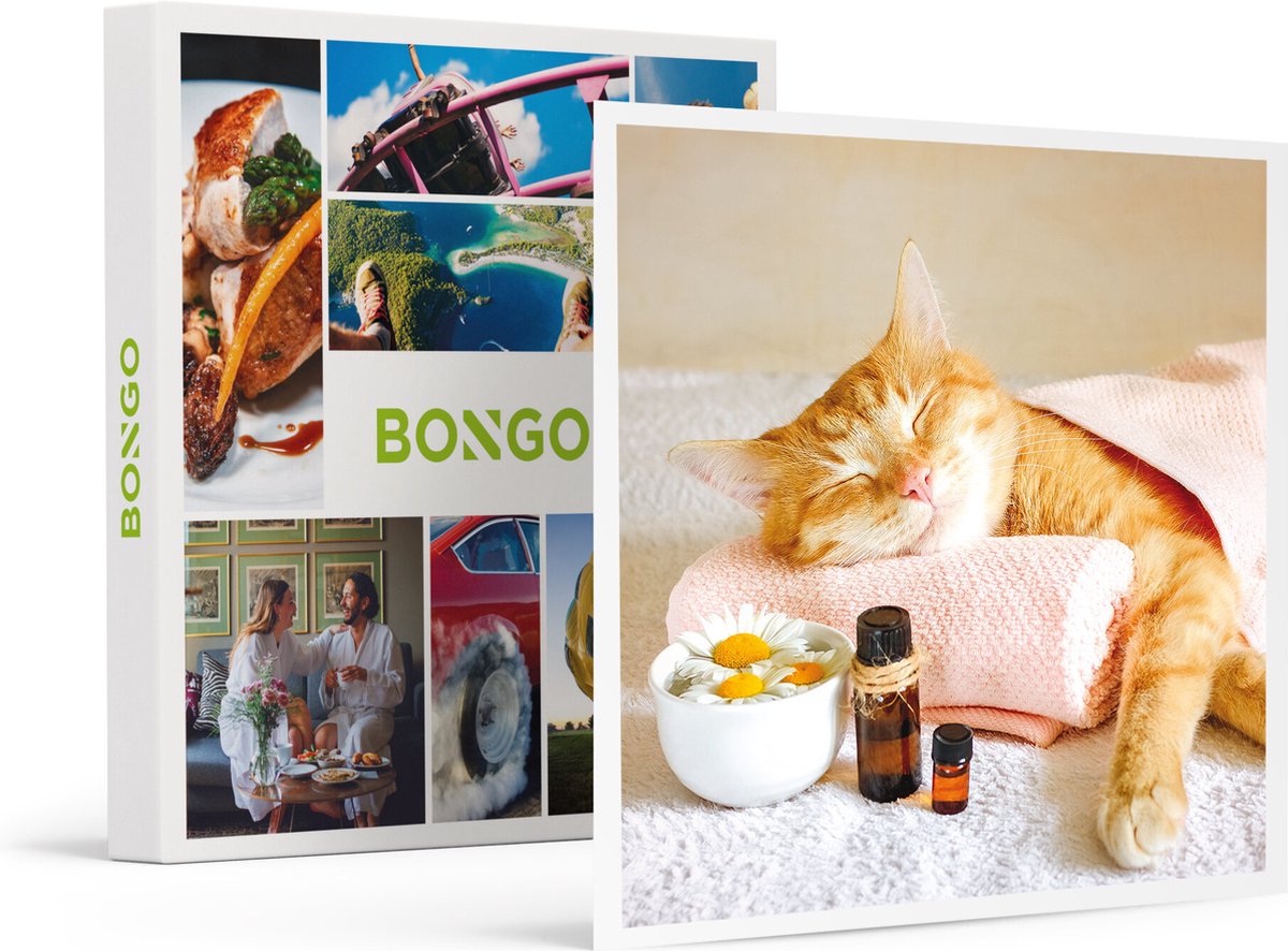 Bongo Bon - Jouw Toegangspoort Tot Ontspanning En Welzijn - Cadeaukaart