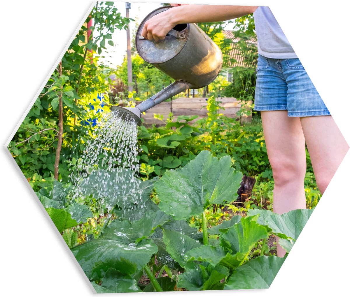PVC Schuimplaat Hexagon - Tuin - Bloemen - Planten - Gieter - Water - Groen - 40x34.8 cm F
